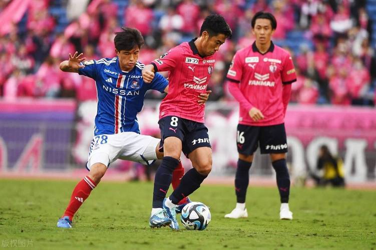 雷火电竞官网-逆袭战术取胜，结合进攻效果显著的简单介绍