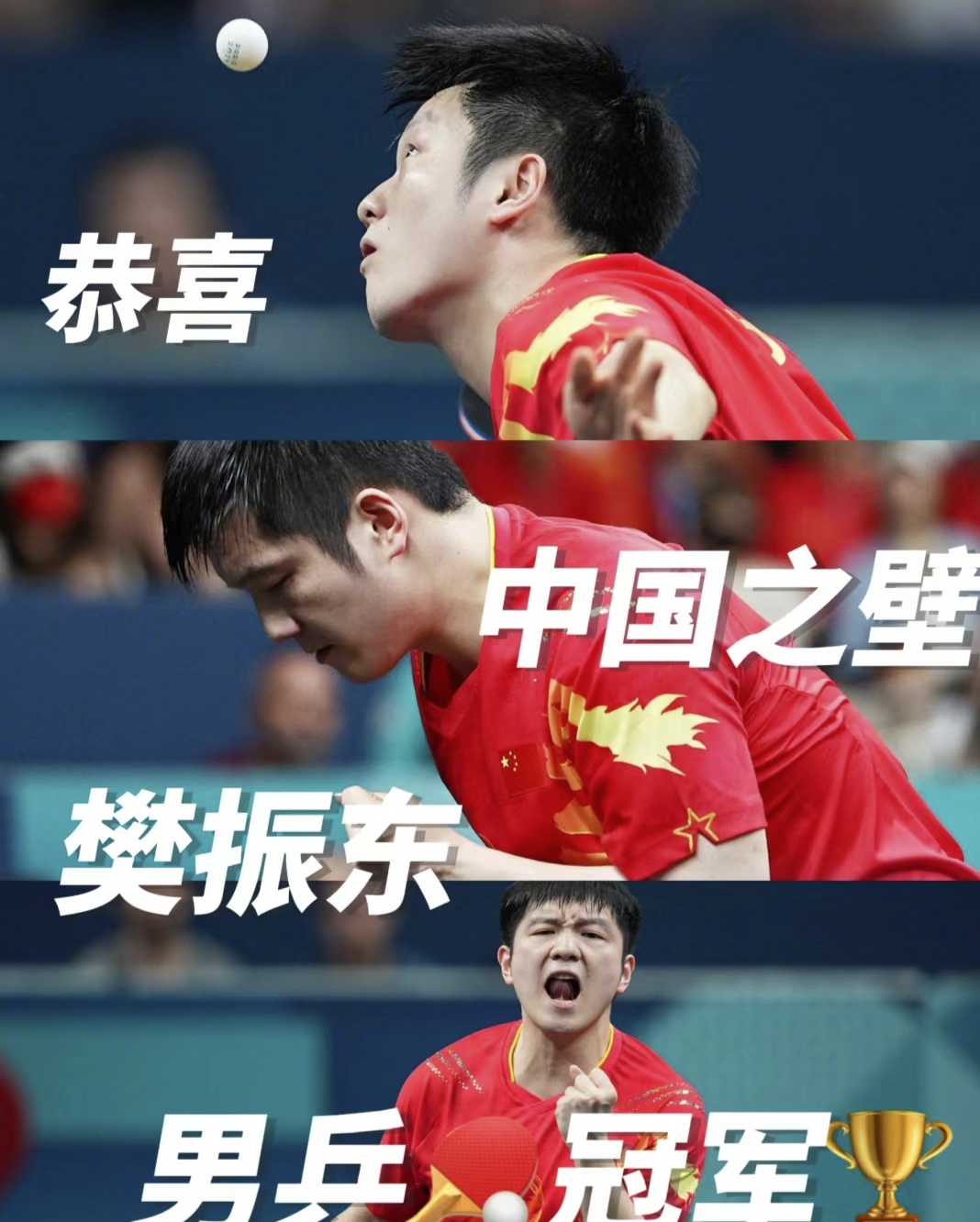 瑞典队险胜葡萄牙队，樊振东关键制胜