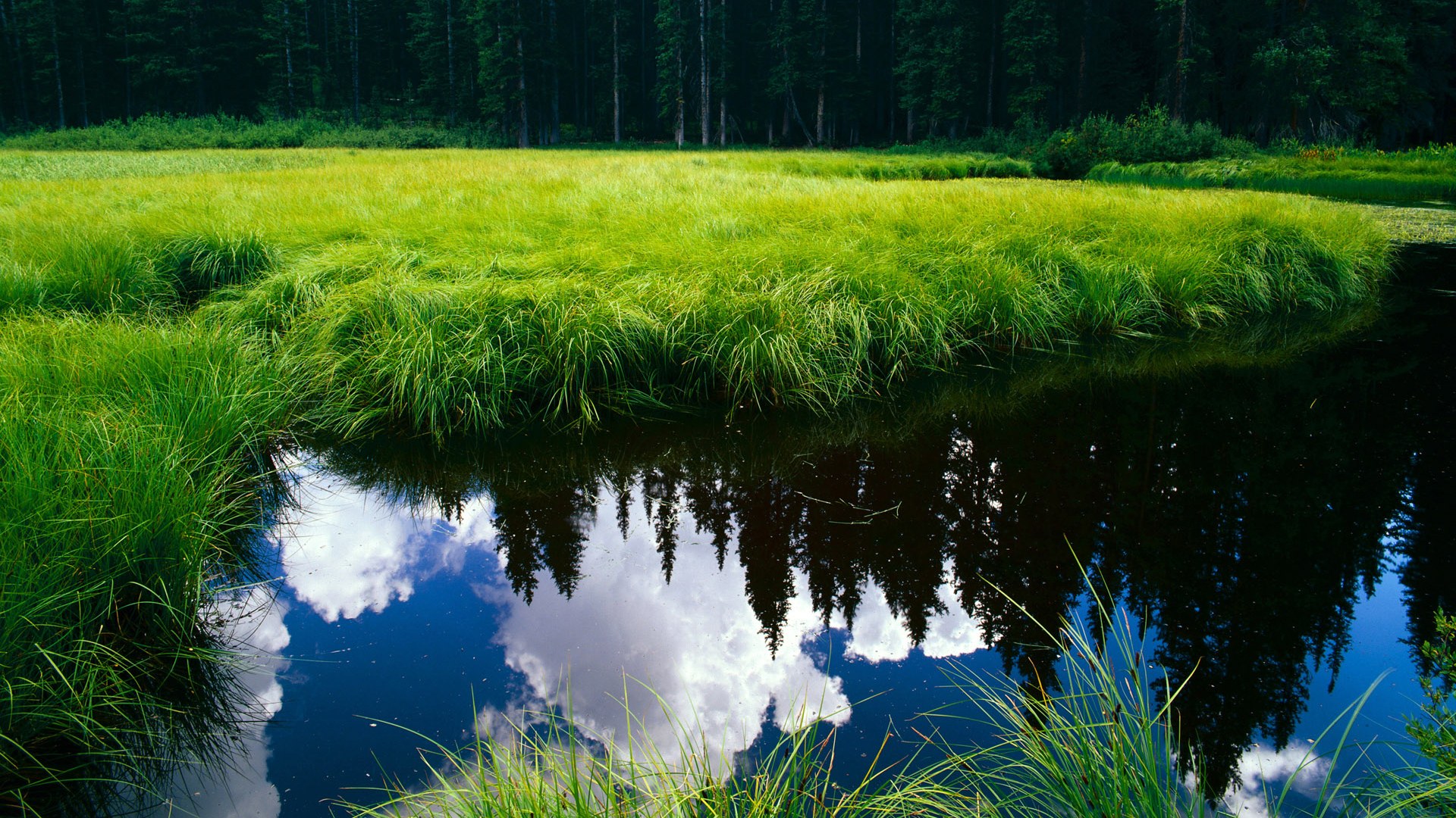 锋刃对堡垒，字母哥的爆发与魔术体系如何在关键战中刺穿掘金防线