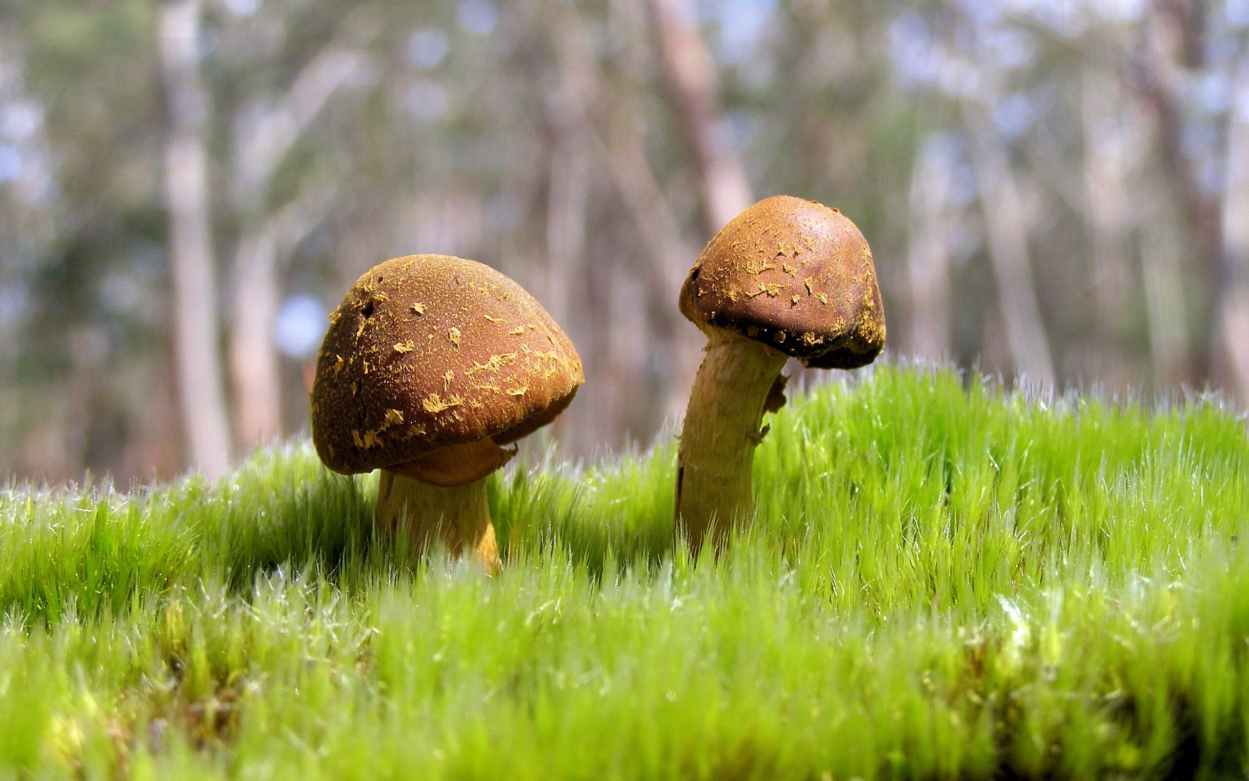 高光之下,武切维奇的欧冠淘汰赛之夜