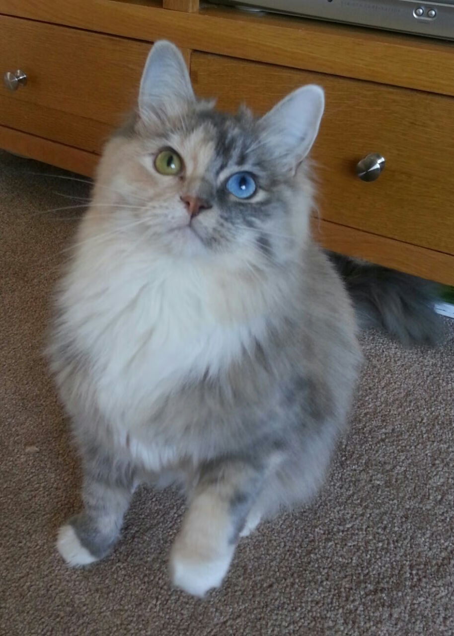 雷火电竞合作-非典型领袖的诞生，金玟哉如何在奥运双战场上接管比赛