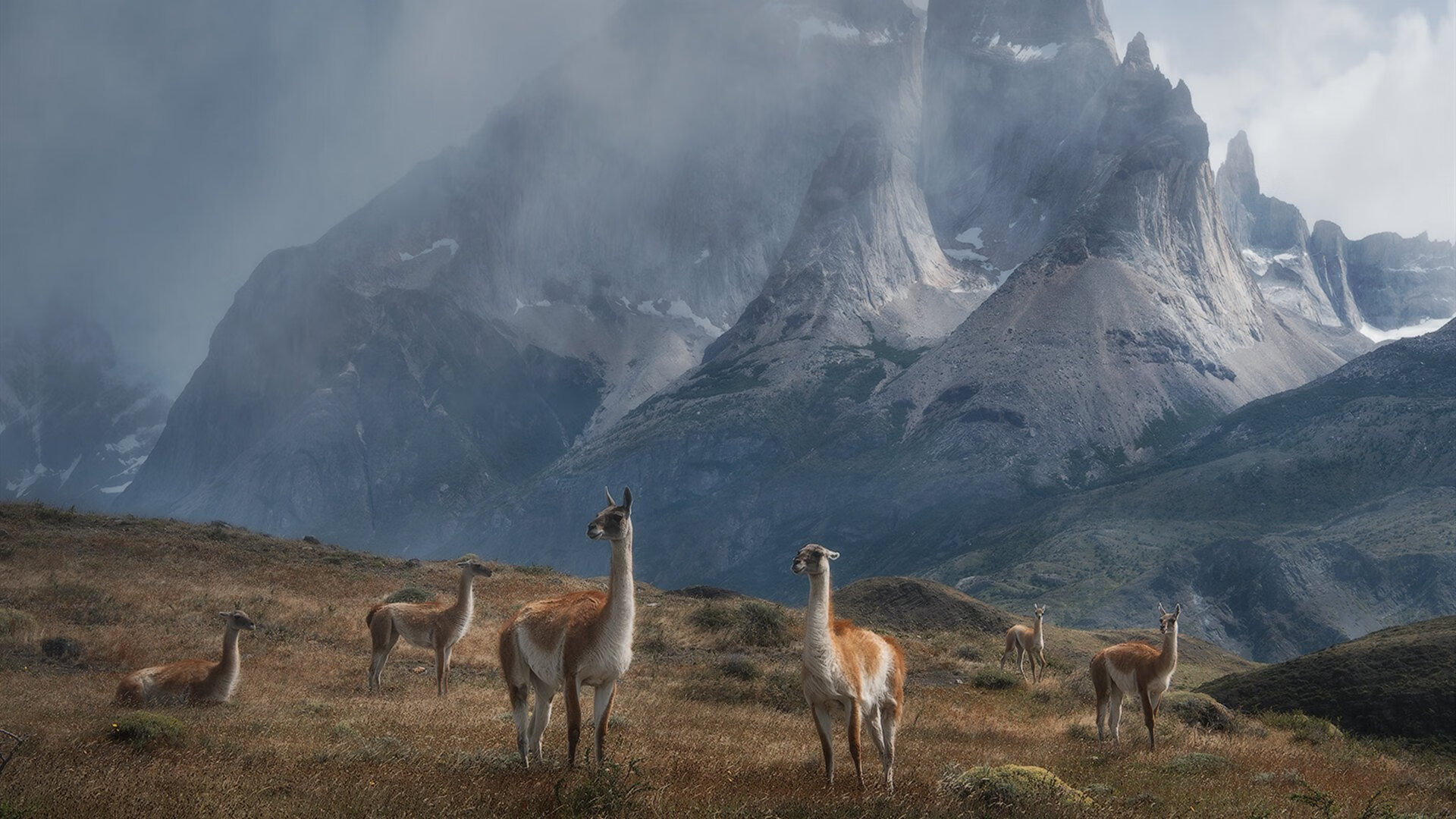 突破极限的赛场智慧,詹姆斯的关键一击与猛龙的热火终结战