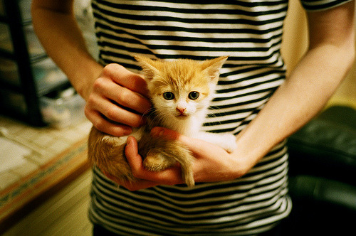 北境风暴席卷地中海，加拿大梦幻军团全面压制那不勒斯，梅西降维打击状态燃爆欧洲