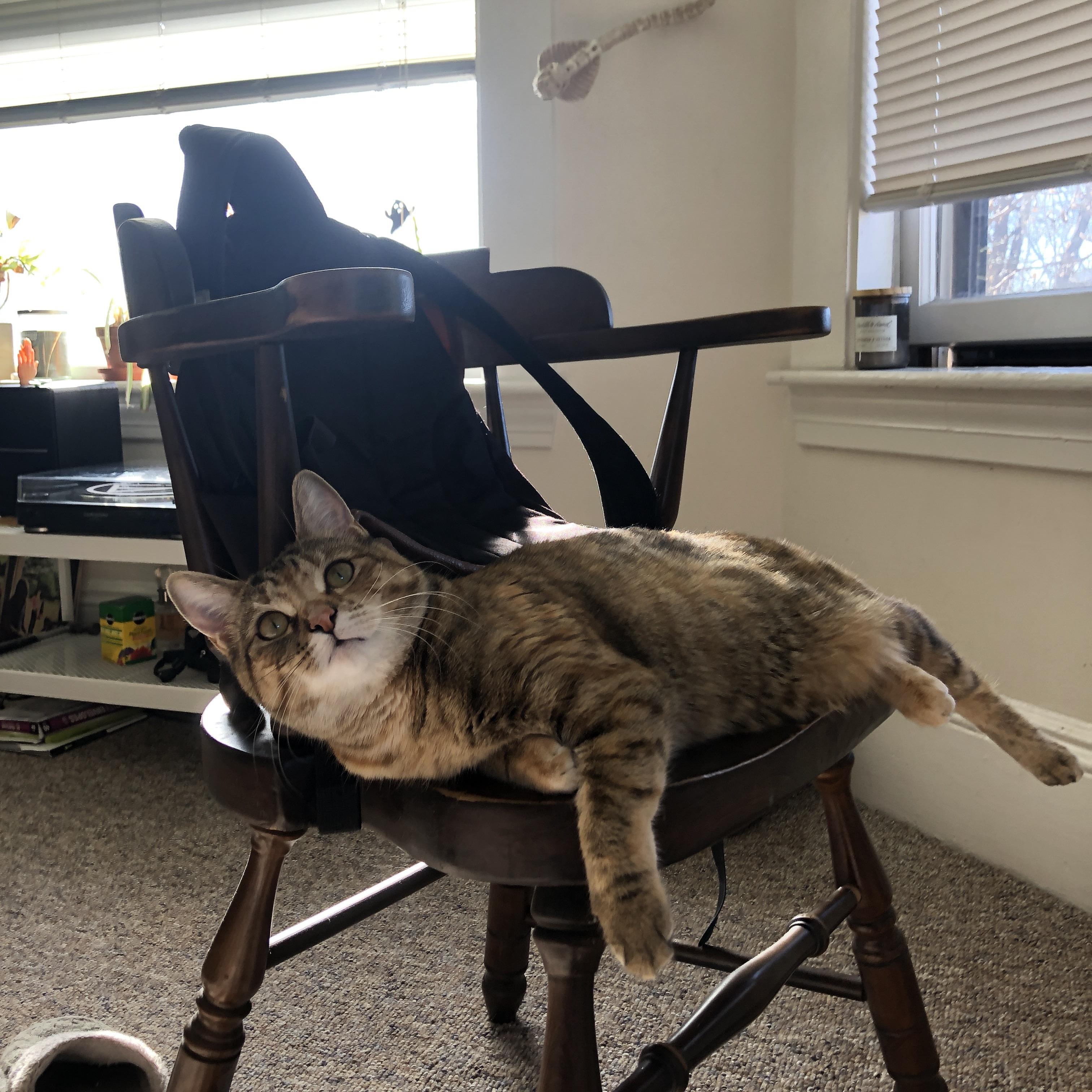 雷火电竞官网-潘帕斯雄鹰提前锁定胜局，三狮军团新王统治数据榜—足球世界的双重奏