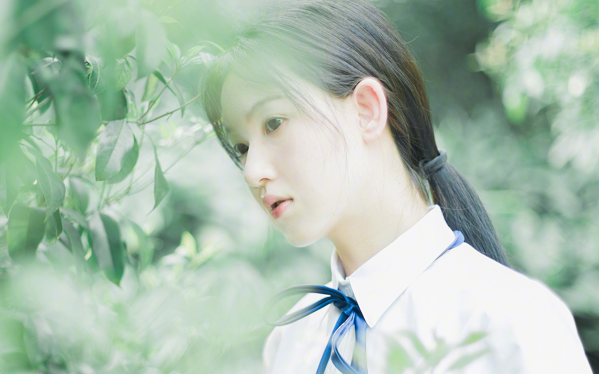 雷火电竞下载-刺穿2026年世界杯之夜最后一片云雾的，是卡拉斯科那道自我救赎的光