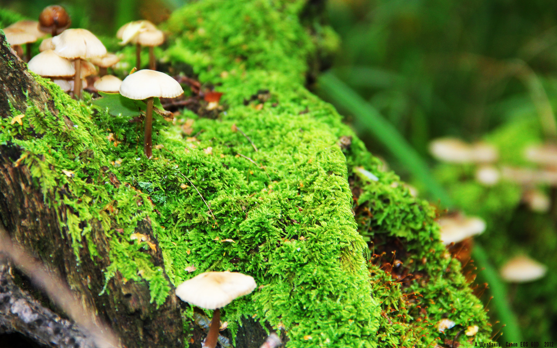 雷火电竞下载-荒漠对决，孤星何以刺穿铁血纽约
