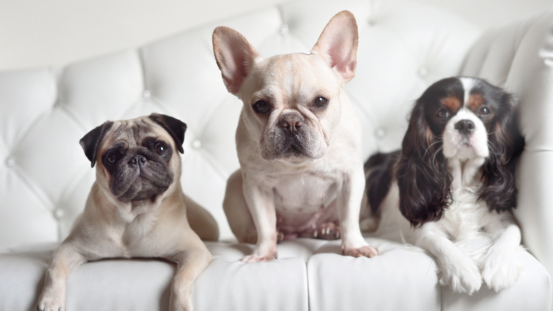 雷火电竞网址-小贾伦单骑破阵，新疆铁血兵团碾压国王