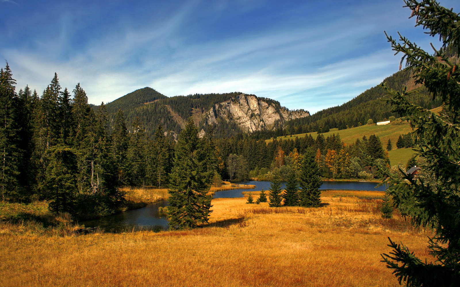 跨界之战，辽宁队绝境逢生，布伦森一剑封喉