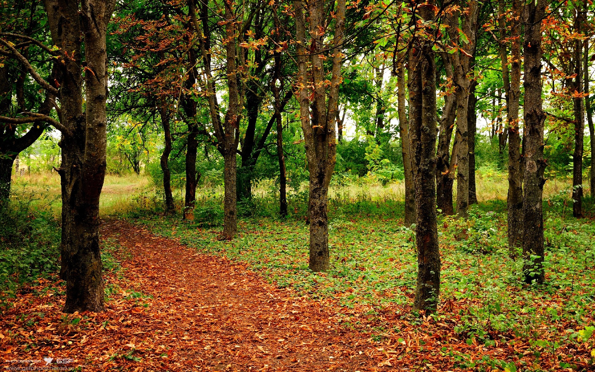征服不可能,从墨西哥城到NBA赛场,逆袭剧本如何重写体育史