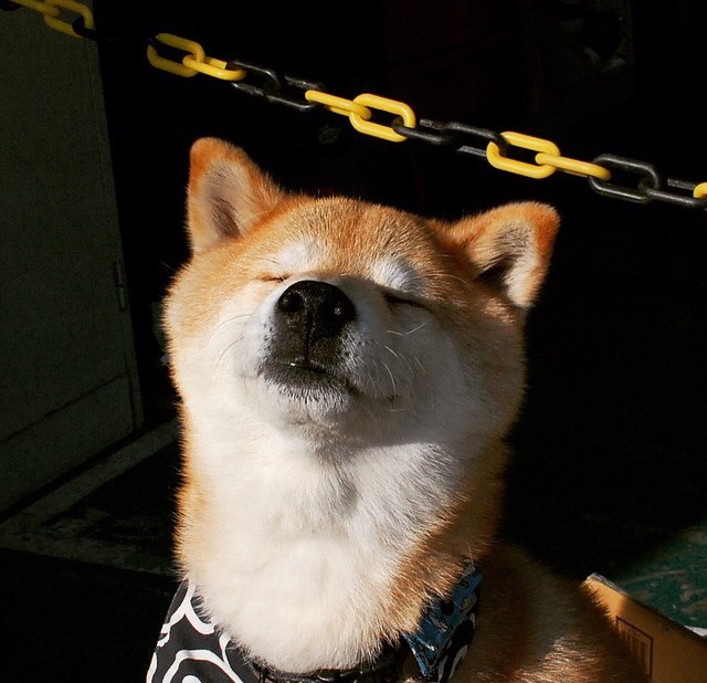 下一站超巨？莫兰特末节15分价值连城，魔术四前锋铁阵拆解步行者进攻