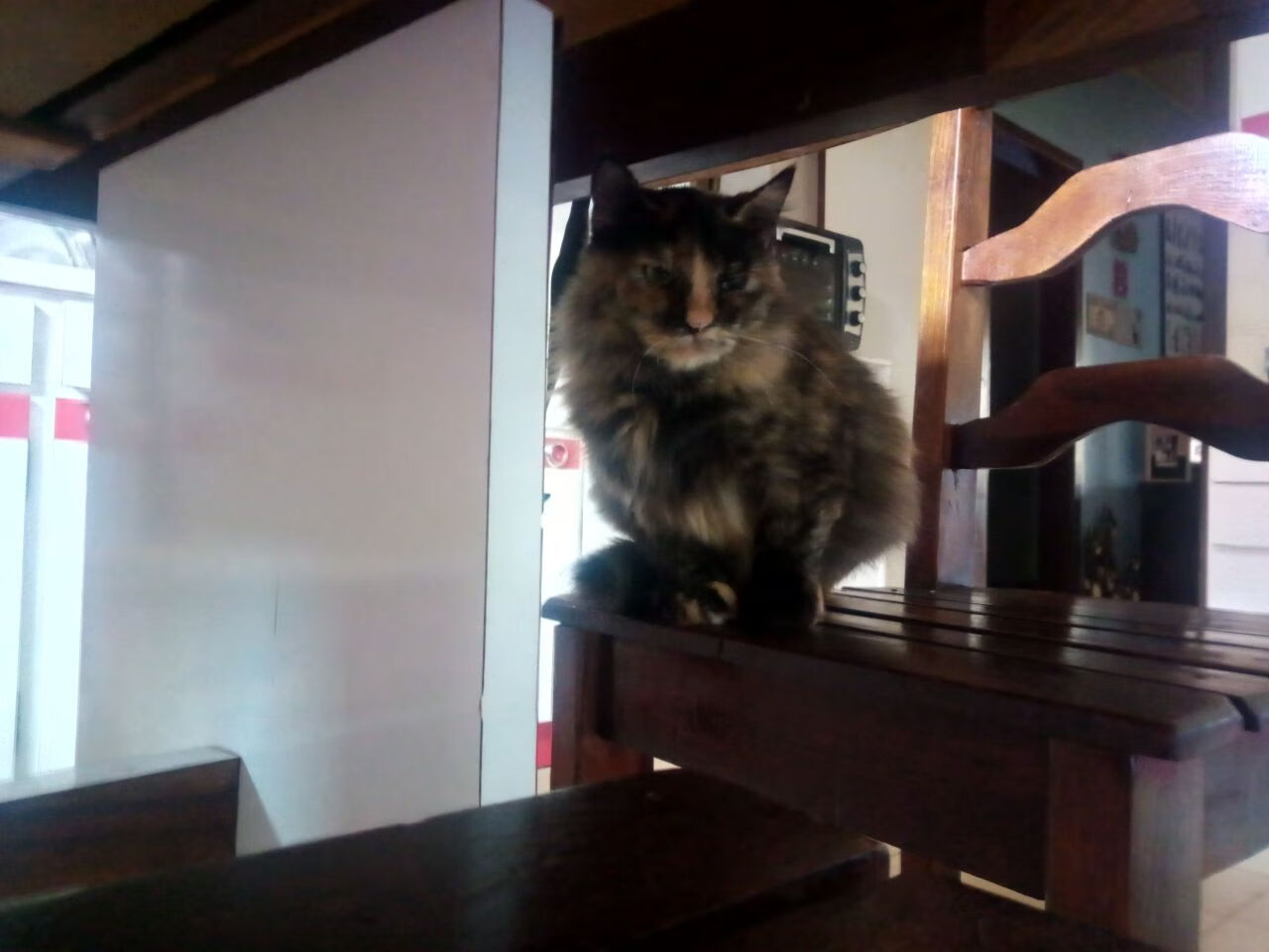 雷火电竞亚洲先驱-跨界焦点，意甲绿茵的战术博弈与黄蜂速胜开拓者的速度启示