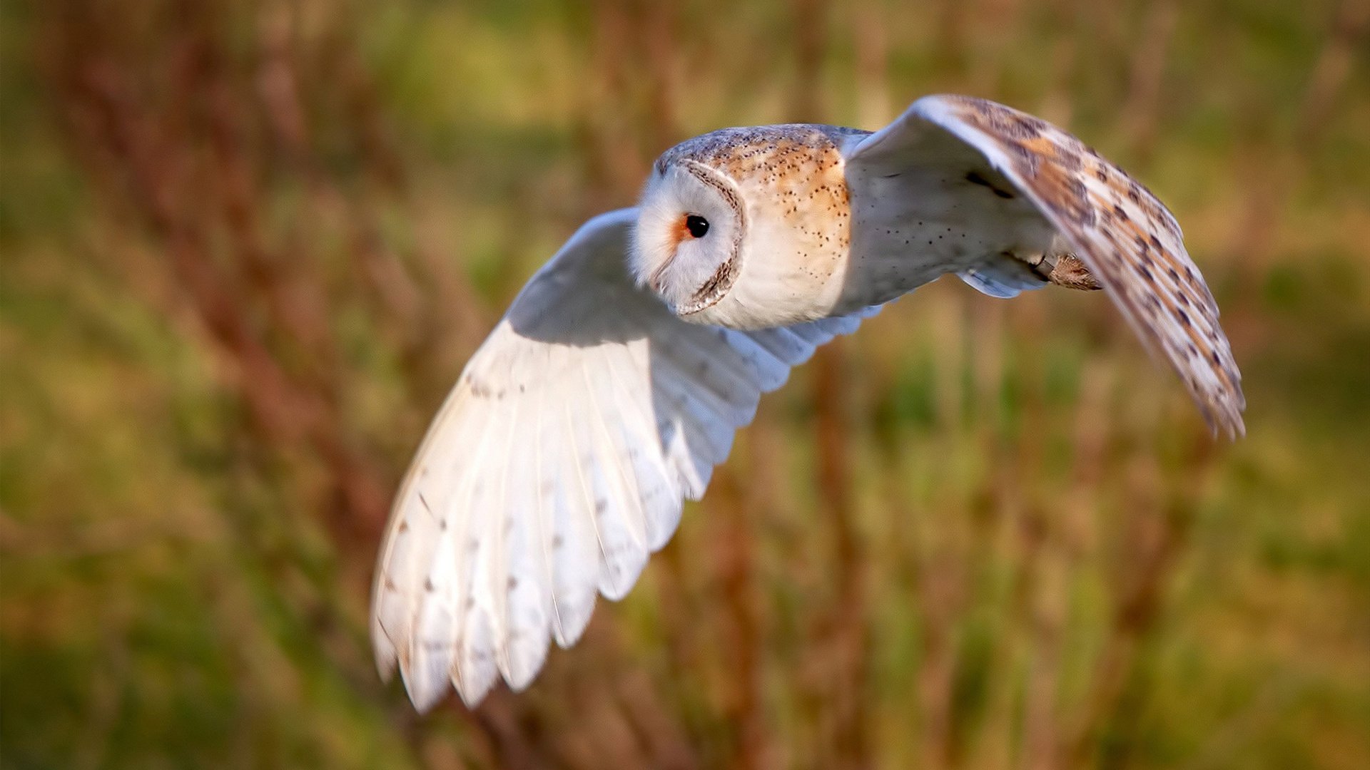 跨界的豪赌，曼联东决掀翻加纳，破局的永远是不守规则者