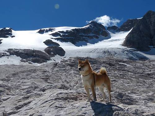 一步之遥，一念之间，姆巴佩于欧冠寒夜中定义英雄与凡人的距离