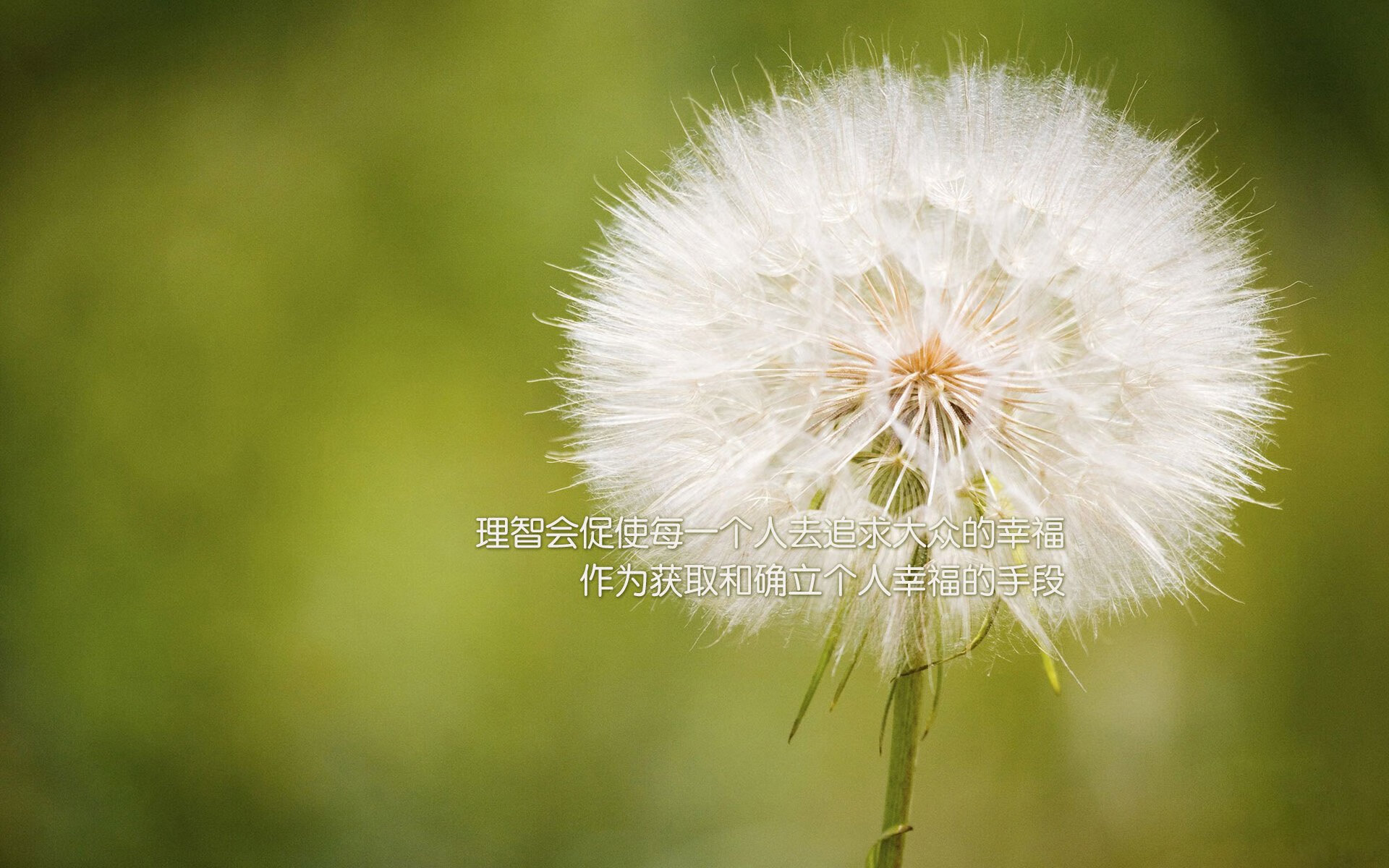 双面王座，从菲尼克斯的压哨亡魂，到多伦多的世界杯异星—德肖恩·贝恩的大场面基因解码