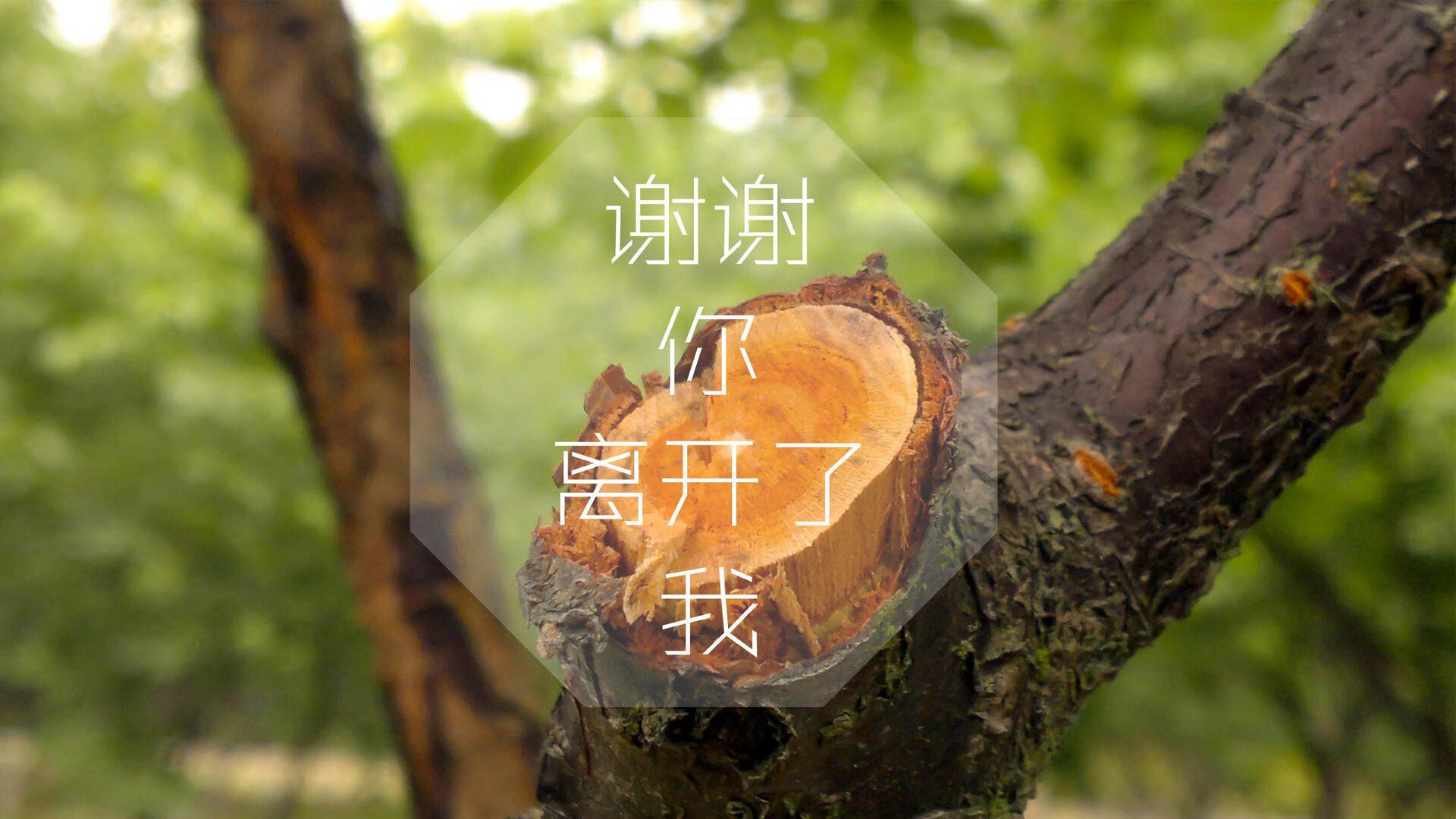 NBA总决赛焦点战，威尔士式逆转再现，摩纳哥成永恒背景板