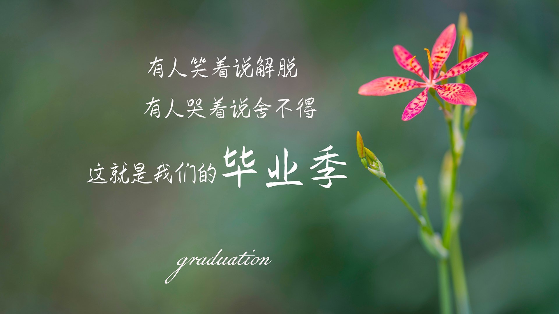 雷火电竞网站-南美双雄的宿命对决，加维的闪电一击，撕开2026世界杯F组最惨烈战役