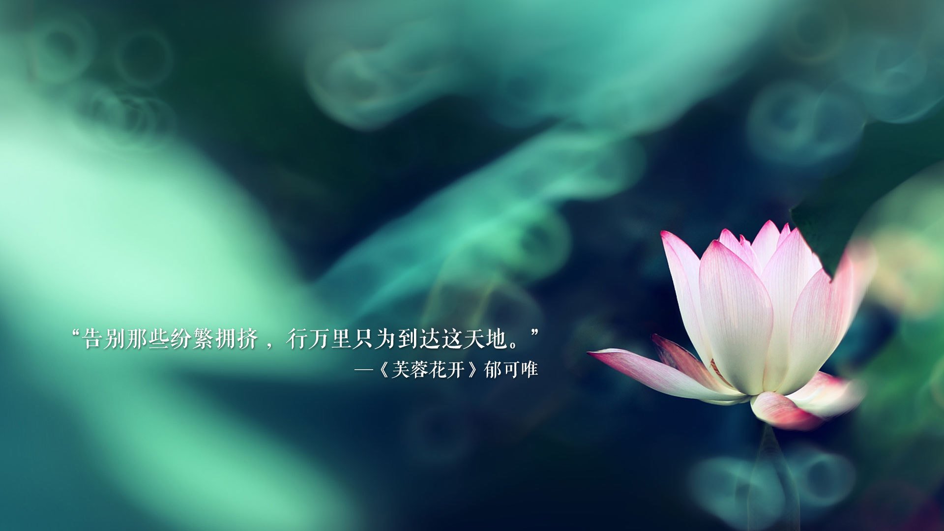 唯一之师，2026世界杯G组生死战，阿诺德的节奏革命与英格兰的宿命突围