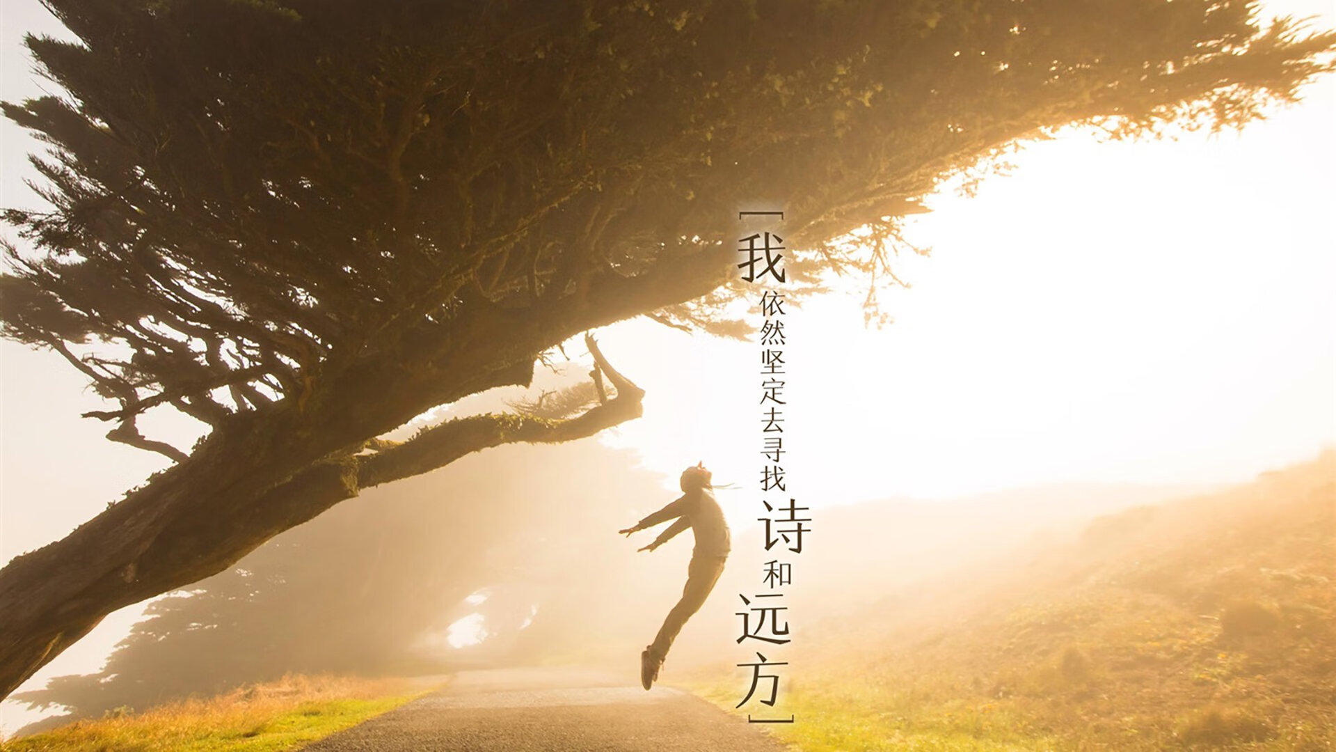 雷火电竞主播-一瞬永恒，2026世界杯出线战，西班牙绝杀乌兹别克斯坦，萨内书写灵魂一击