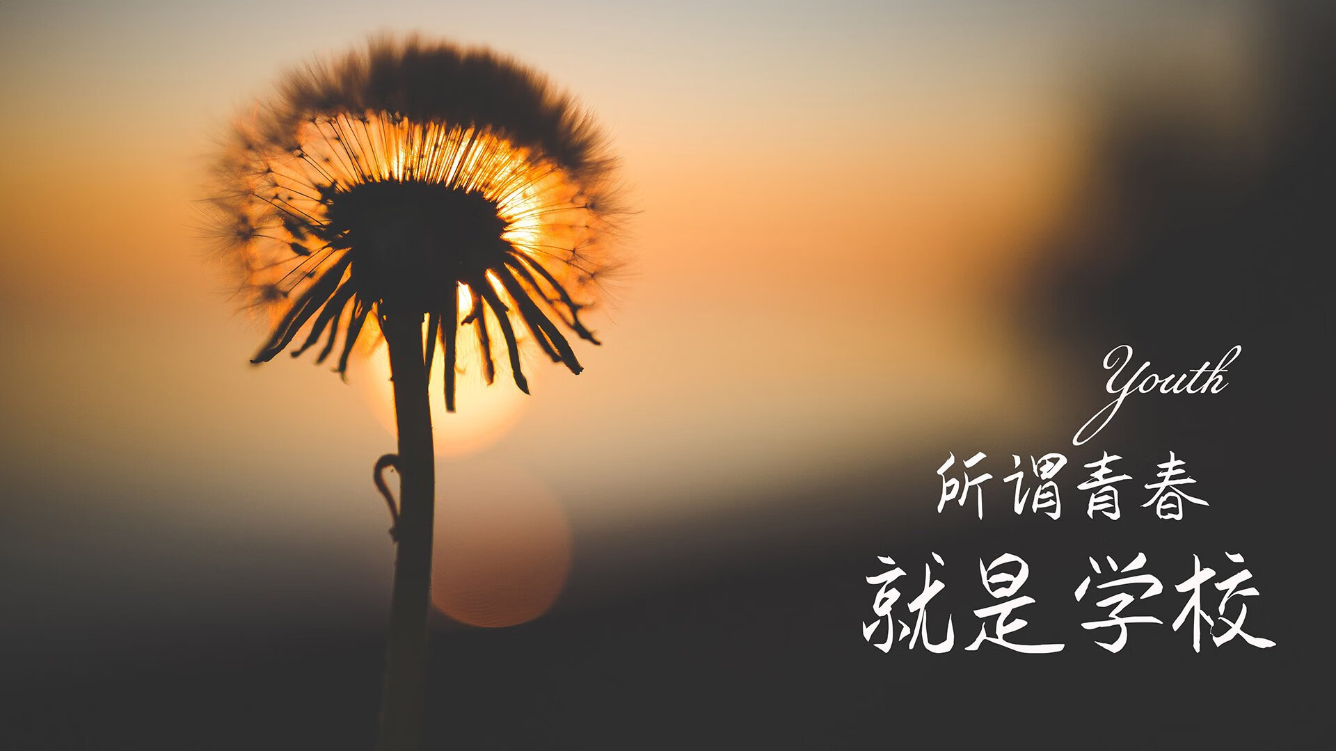 橙衣之盾，南美之矛，范戴克闪耀全场，哥伦比亚绝杀奥地利重现2026世界杯C组经典一役
