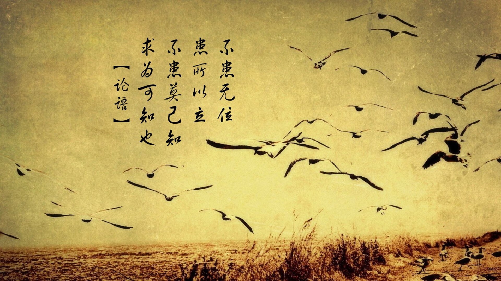 雷火电竞-绝境中的蓝魔之舞，2026世界杯G组关键战，比利时逆转法国，萨卡与替补奇兵书写唯一传奇