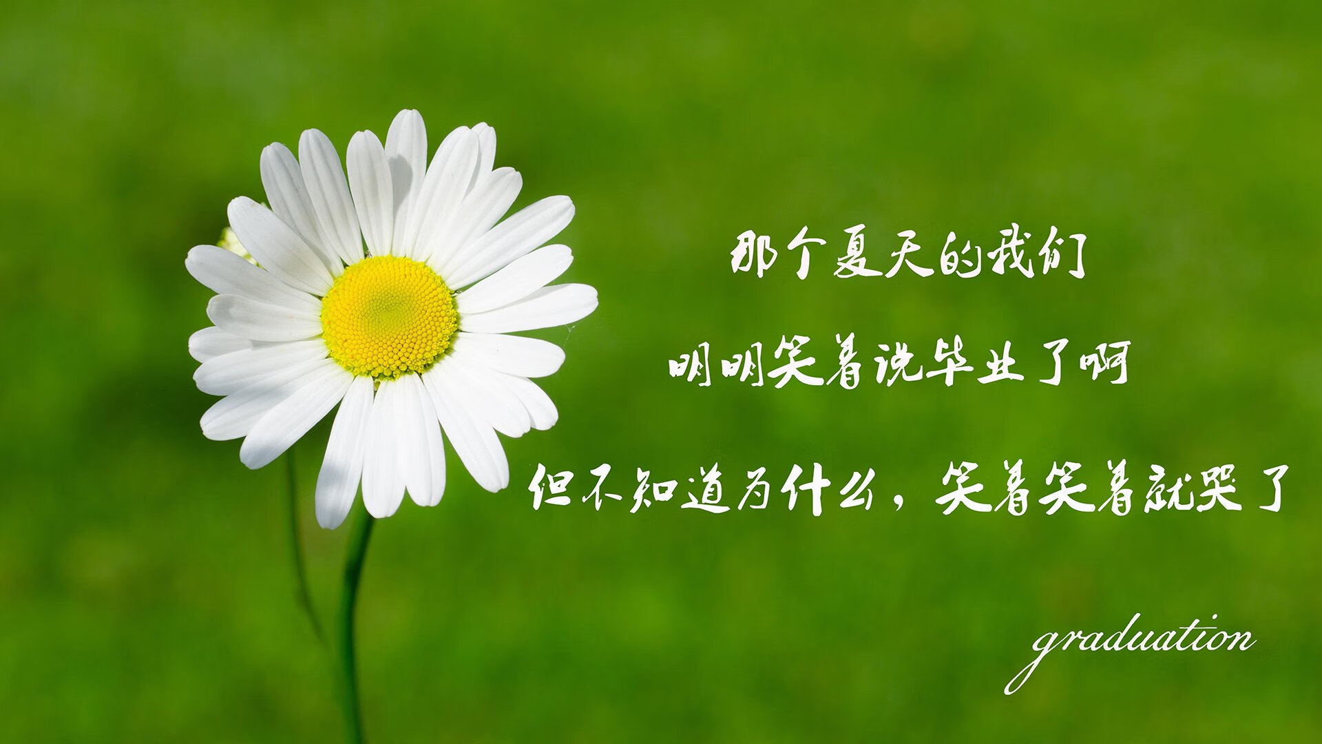 当奇迹有了唯一解，2026世界杯C组关键战，泰国力克瑞典，奥斯梅恩带队改写亚洲足球史