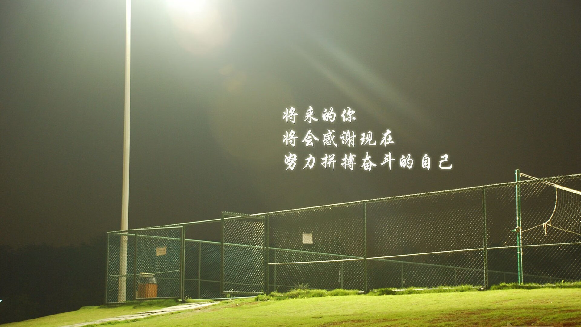 雷火电竞app-橙衣风暴下的红白挽歌—2026世界杯C组焦点战，荷兰横扫波兰，托纳利以一人之力撕裂节奏